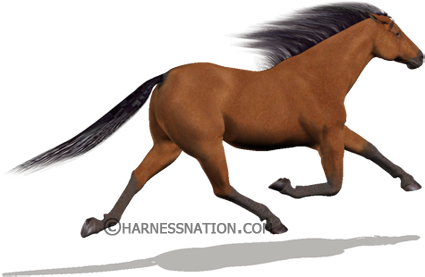 Harnessnation Virtual Harness Horse Racing [ 277 x 425 Pixel ]